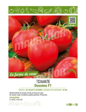 TOMATE DOSSIMO F1