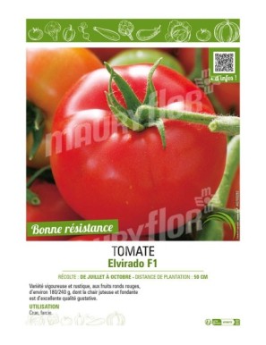 TOMATE ELVIRADO F1