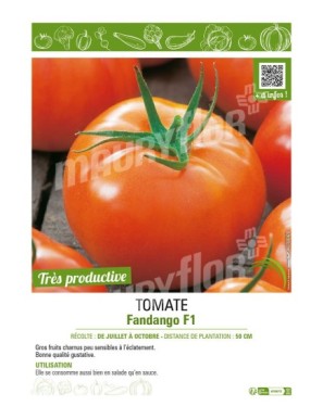 TOMATE FANDANGO F1