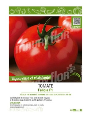 TOMATE FELICIA F1