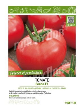 TOMATE FENDA F1