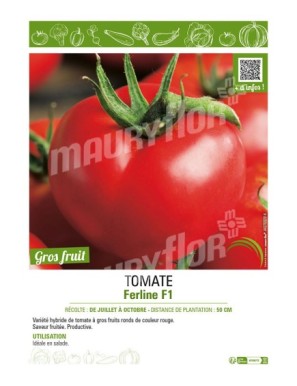 TOMATE FERLINE F1