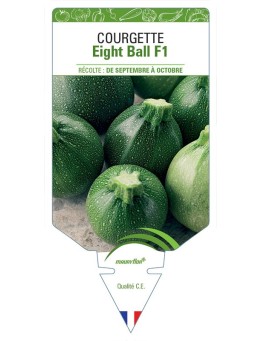 COURGETTE EIGHT BALL F1