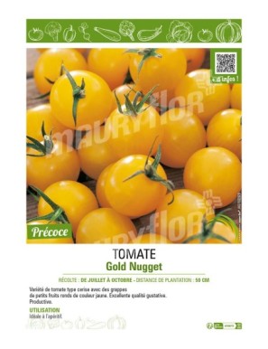TOMATE GOLD NUGGET