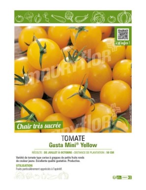 TOMATE GUSTA MINI YELLOW