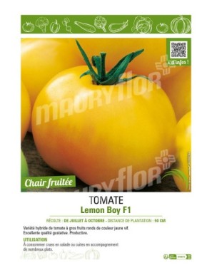 TOMATE LEMON BOY F1