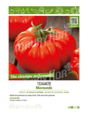 TOMATE MARMANDE