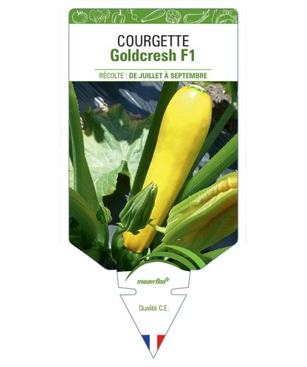 COURGETTE GOLDCRESH F1