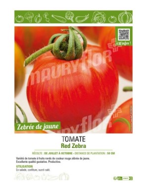 TOMATE RED ZEBRA