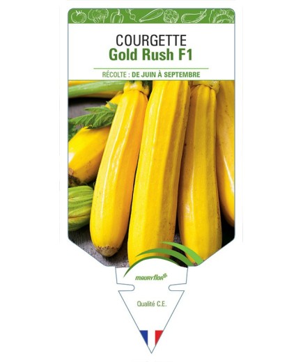 COURGETTE GOLD RUSH F1
