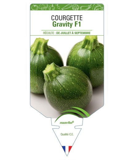 COURGETTE GRAVITY F1