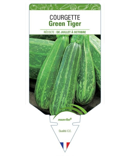 COURGETTE GREEN TIGER