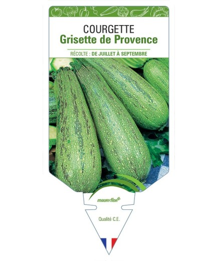 COURGETTE GRISETTE DE PROVENCE