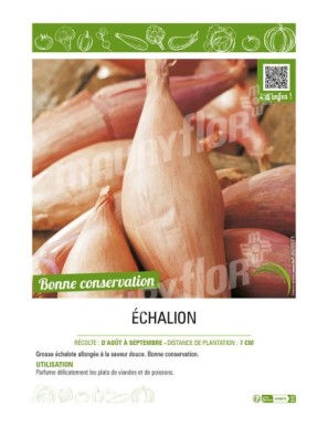 ÉCHALION