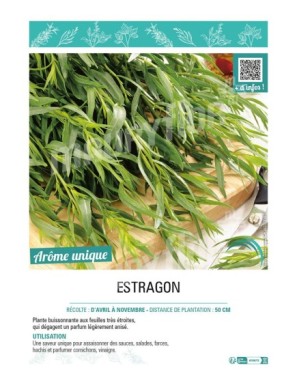 ESTRAGON