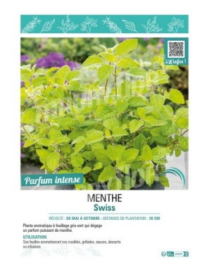 MENTHE SWISS