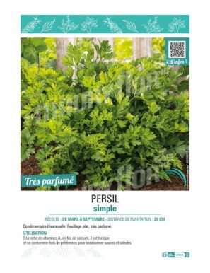 PERSIL SIMPLE