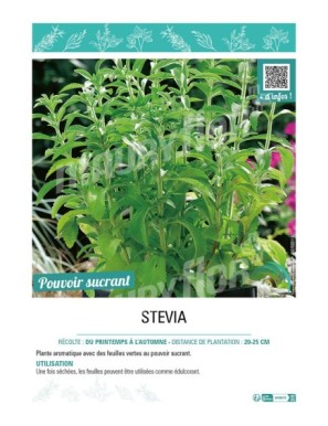 STEVIA