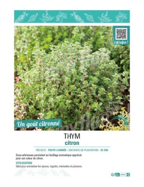 THYM CITRON