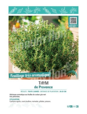 THYM DE PROVENCE