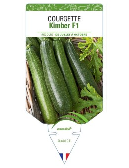 COURGETTE KIMBER F1