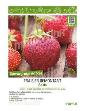 FRAISIER ANAIS