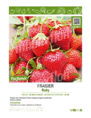 FRAISIER RUBY