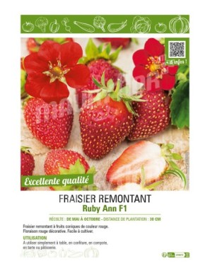 FRAISIER RUBY ANN F1