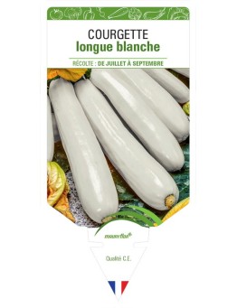 COURGETTE LONGUE BLANCHE