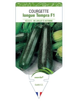 COURGETTE LONGUE TEMPRA F1