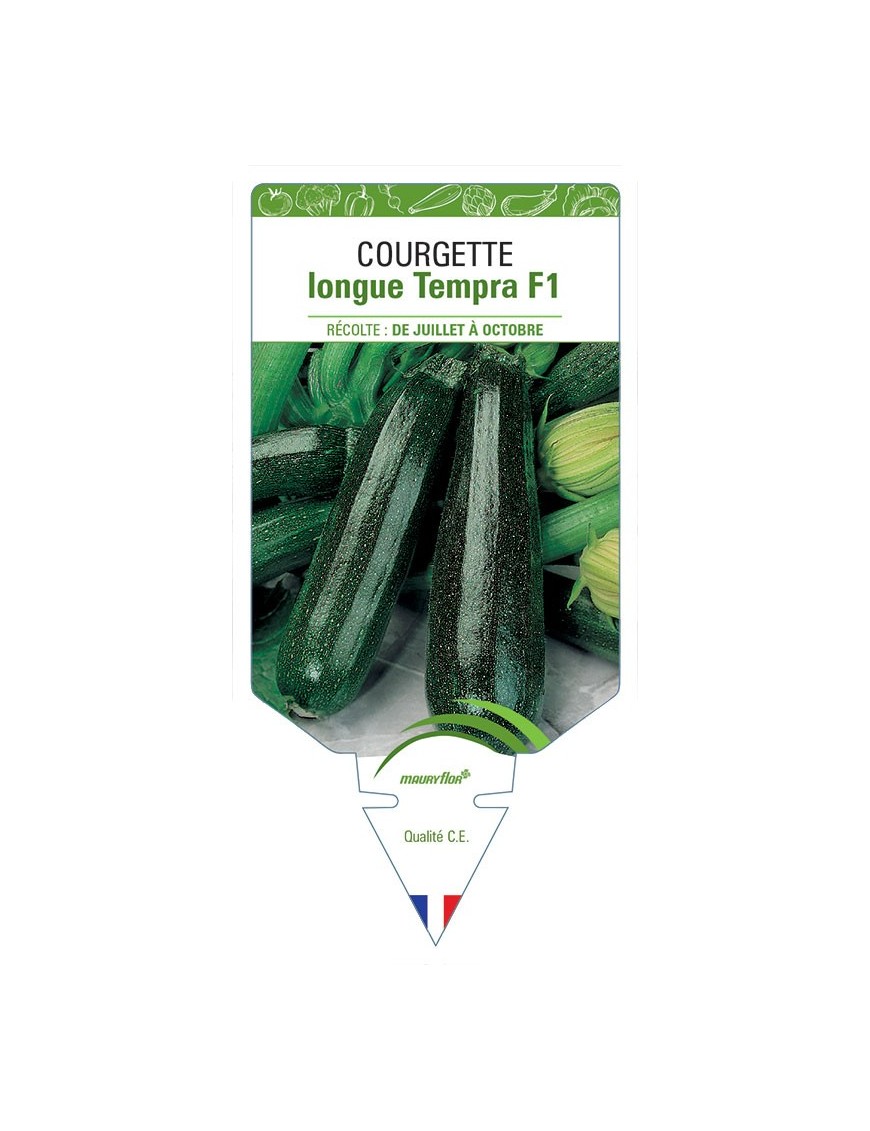 COURGETTE LONGUE TEMPRA F1