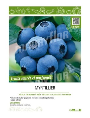 MYRTILLIER