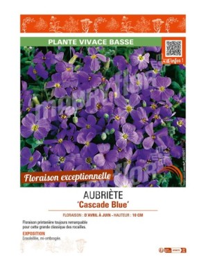 AUBRIÈTE CASCADE BLUE