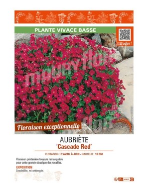 AUBRIÈTE CASCADE RED