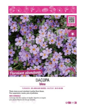 BACOPA BLEU