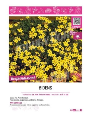 BIDENS