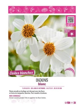 BIDENS BLANC