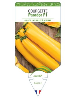 COURGETTE PARADOR F1