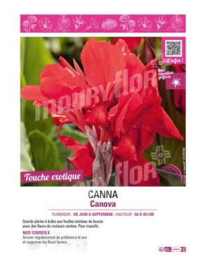 CANNA CANNOVA