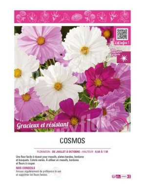 COSMOS