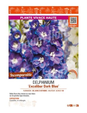 DELPHINIUM EXCALIBUR DARK BLUE