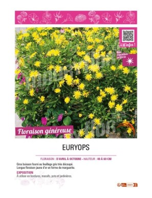 EURYOPS