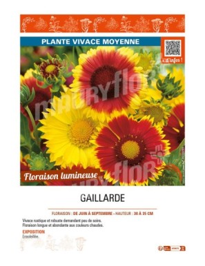 GAILLARDE (variée)