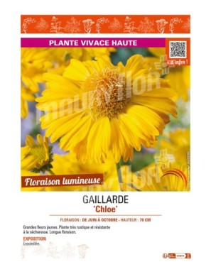 GAILLARDE CHLOÉ