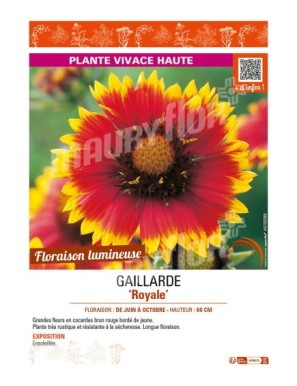 GAILLARDE ROYALE