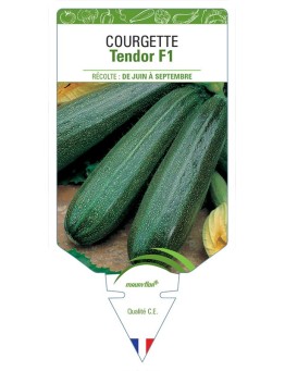 COURGETTE TENDOR F1