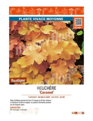 HEUCHÈRE CARAMEL
