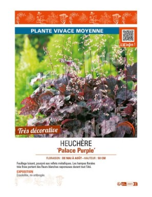 HEUCHÈRE PALACE PURPLE