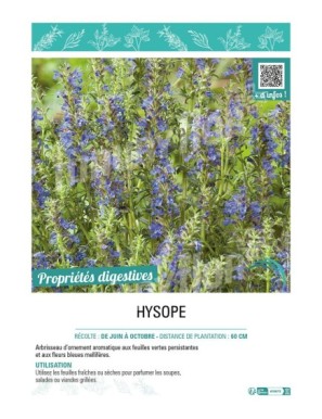 HYSOPE