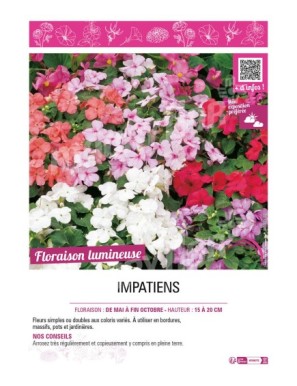 IMPATIENS